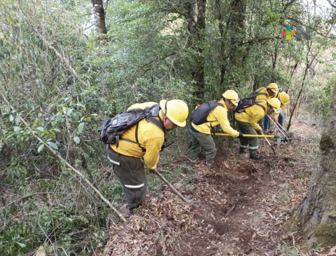 Veracruz cerró con 218 incendios forestales en 2023; tendencia a disminuir siniestros este año